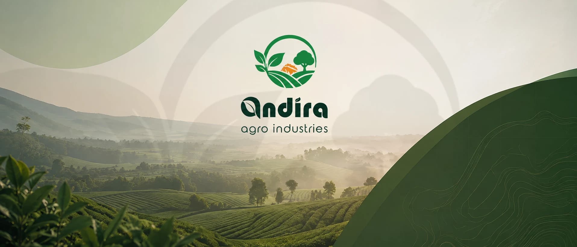 Andira Agro Industries — Empowering Farmers. Feeding the Future.